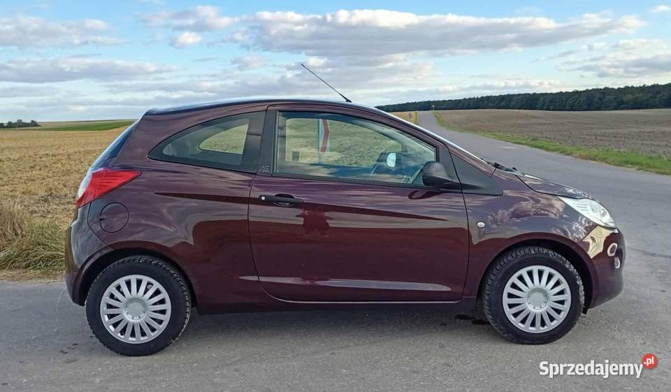 Ford KA 12 benzyna Chełm
