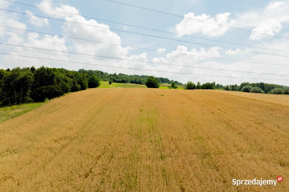 Działka rolna Radziszów gmina Skawina 12561m2 sprzedam