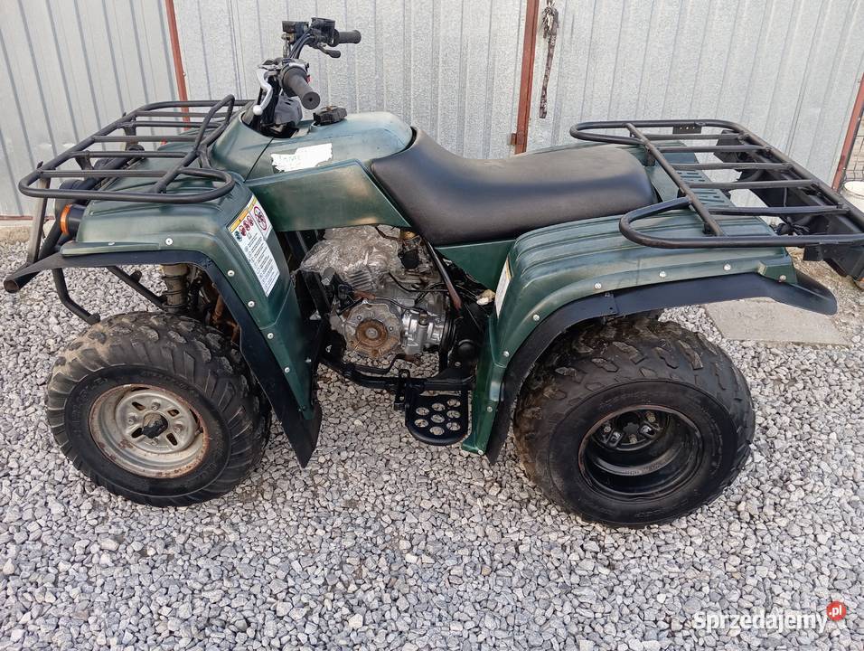 Yamaha Bear Tracker 250 Bychawa