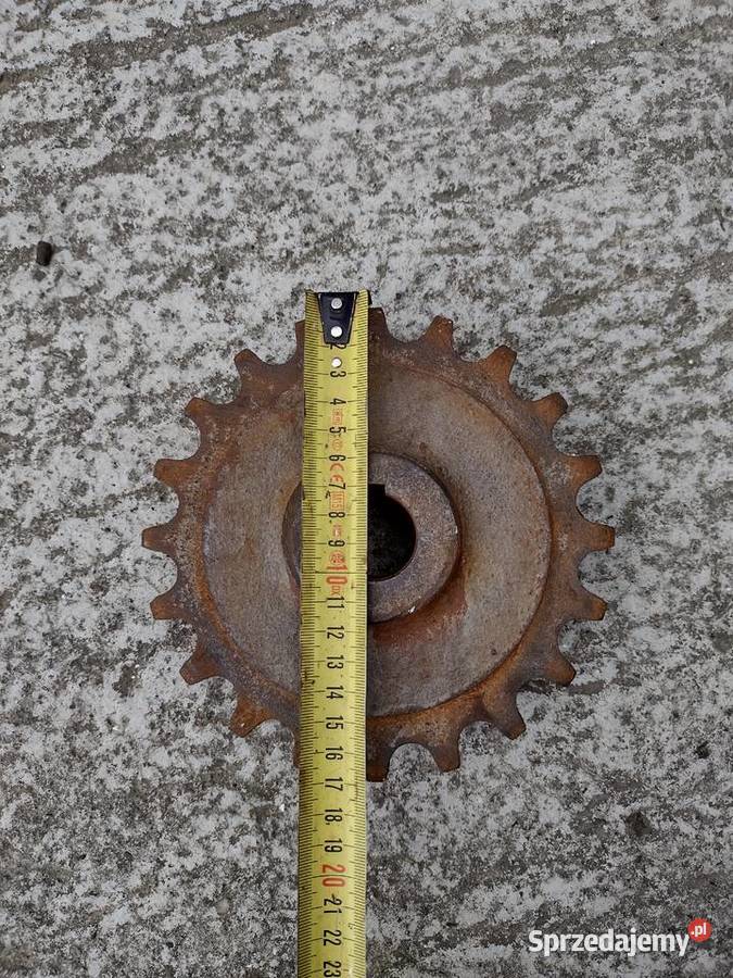 Koło zębate rozrzutnik obornika Pozostałe małopolskie Gołcza