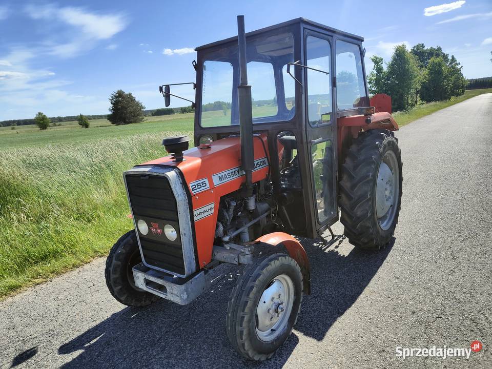 MF 255 Ursus 3512 Massey Ferguson Przytyk