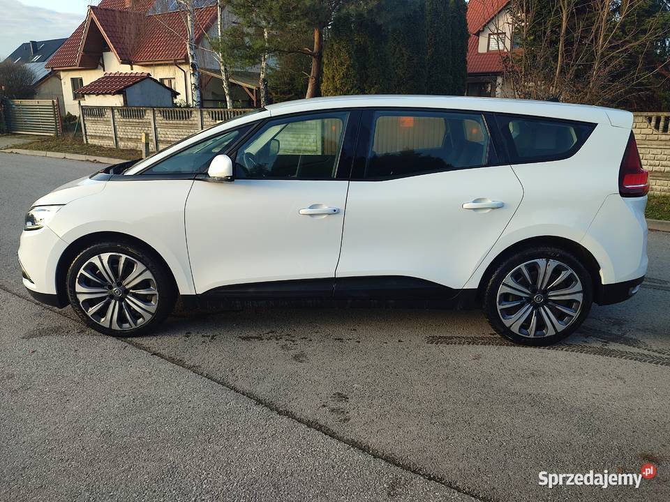 SCENIC IV 17 dCi 7 osób 123000 Rok produkcji 2019 Kielce sprzedam