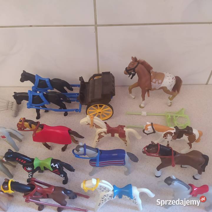 Figurki do zabawy Playmobil Gdańsk