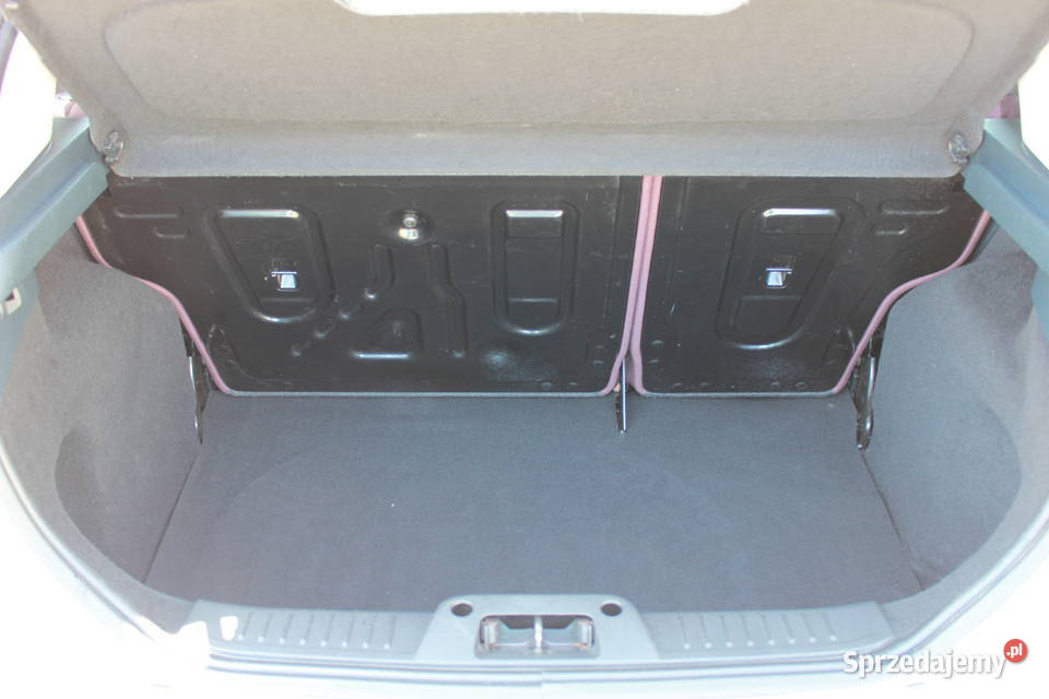 Ford Fiesta Mk7 12 benzyna 60 Ekonomiczny i