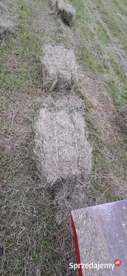Prasa kostkująca Fahr HD20 Kostkujące Nowy Sącz sprzedam