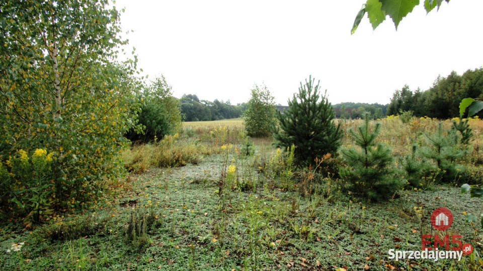 Działka 2806m2 Klimki 58m