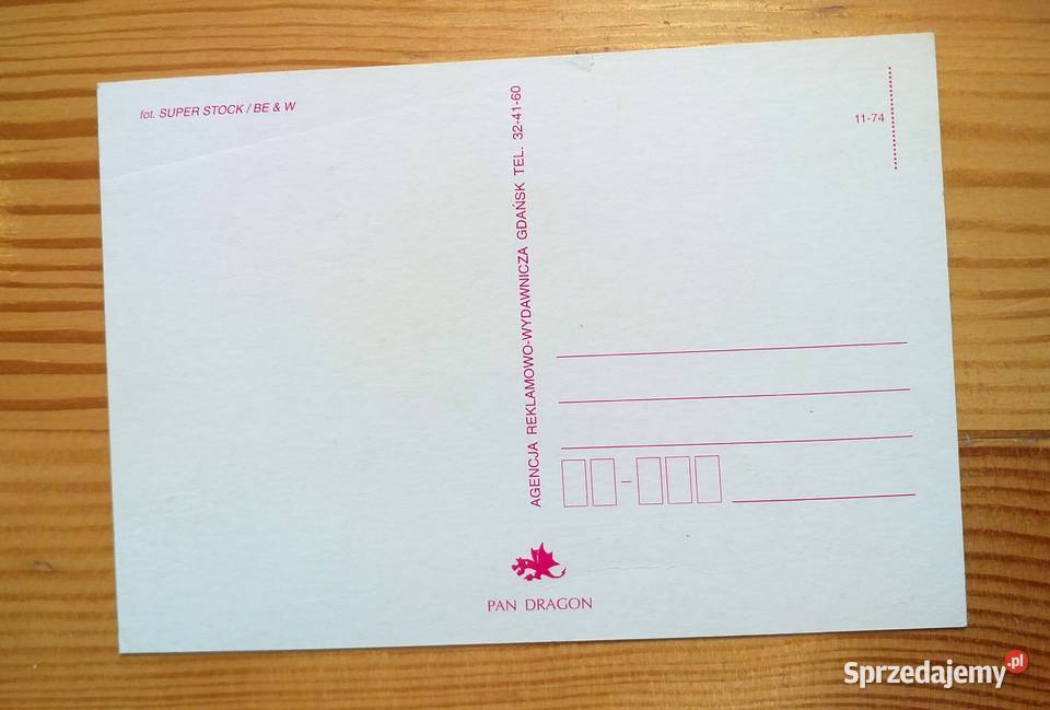 DWA MAŁE PIESKI NA BIAŁYM DYWANIKU Piszczac