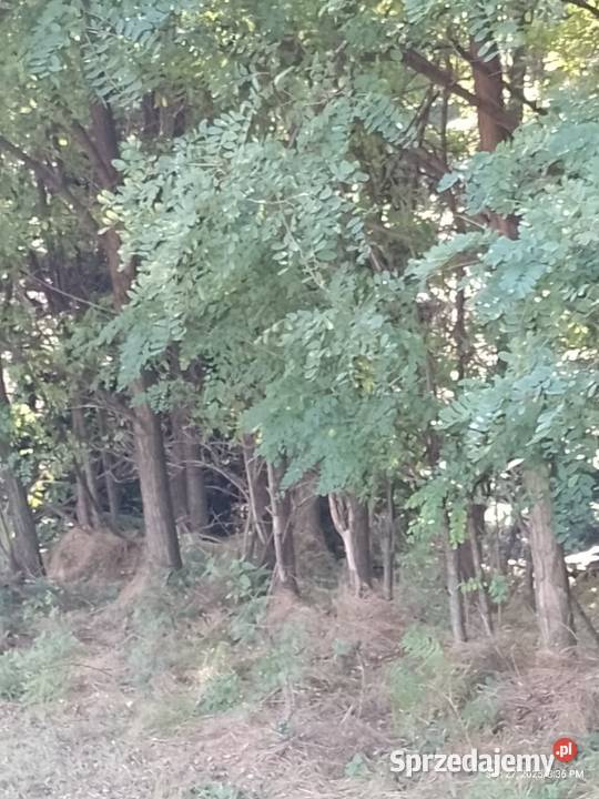 Działka budowlanolesna Zawada