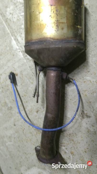 kuga mk1 dpf