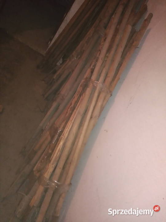 Tyczki paliki kostury Leżajsk