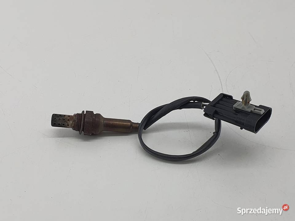 SONDA LAMBDA CECTEK 500 GLADIATOR QUADDRIFT łódzkie Janowice