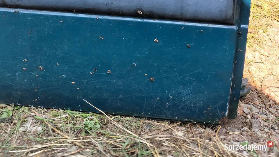 Drzwi Renault Kangoo I osobowe Łagów