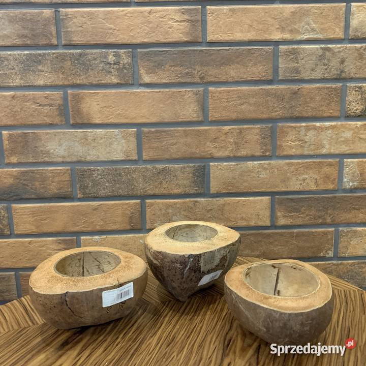 Doniczka z łupiny kokosa Bochnia