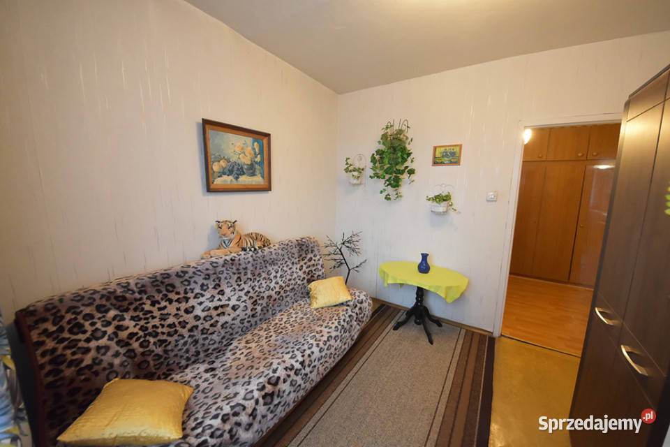 Sprzedaż rozkładowego mieszkania 3 pokOpoleZWM opolskie Opole