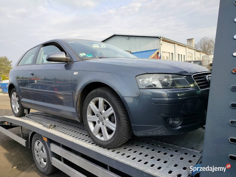 Części Audi a3 8P 16 diesel osobowe zachodniopomorskie Przybiernów sprzedam