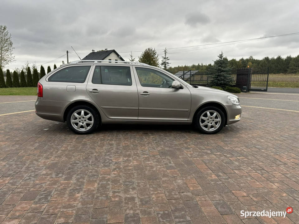 koda Octavia SKODA Octavia C II 20042013 Lipówki