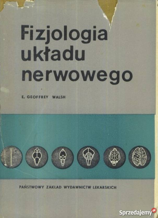 FIZJOLOGIA UKŁADU NERWOWEGO Książki naukowe i popularnonaukowe Zielona Góra