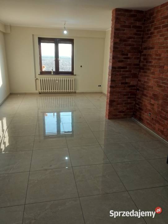 Wynajem minikoparki usługi remontowe