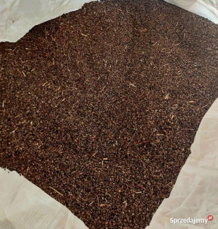 Gryka hreczka tatarka Cieszanów