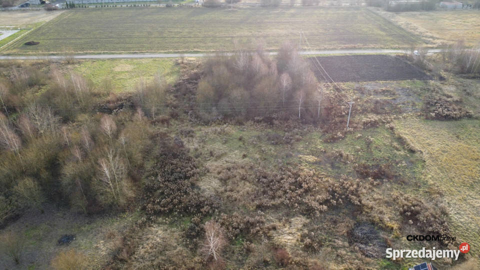Działka budowalana 1448 m2 Oblęgorek gmStrawczyn sprzedam