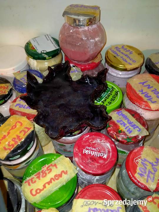 Sprzedam szkliwa ceramiczne Antyki, Sztuka, Kolekcje