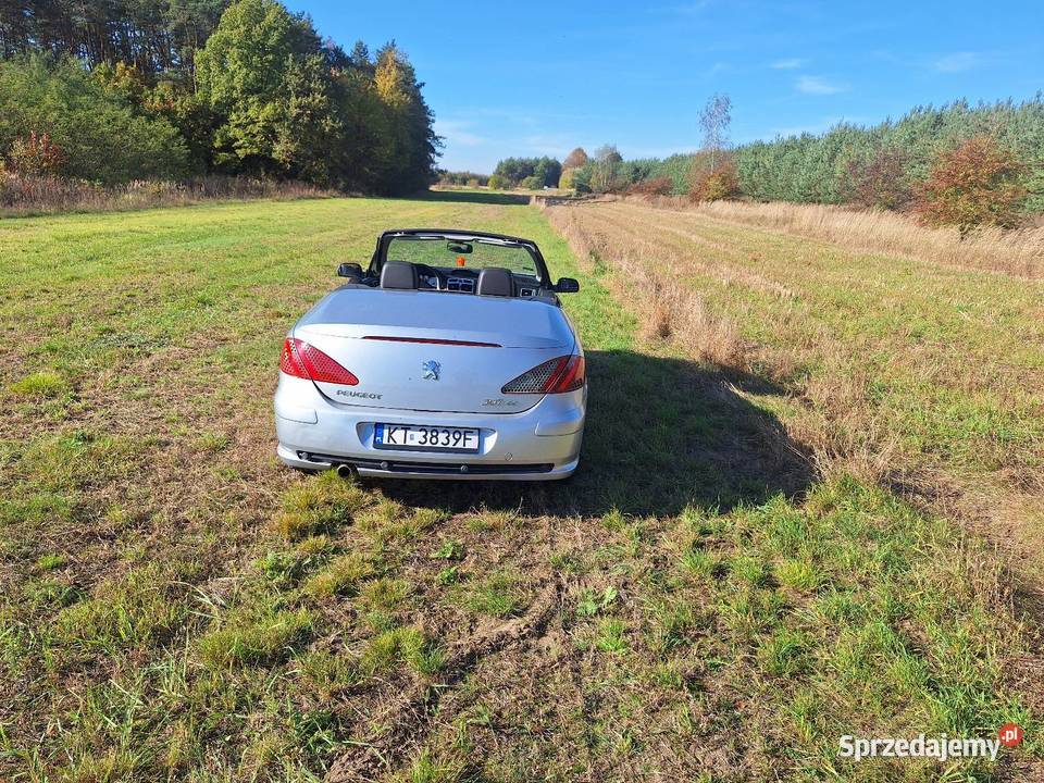 Sprzedam Peugeot 307 CC 20 Benzyna nieuszkodzony Gorzyce