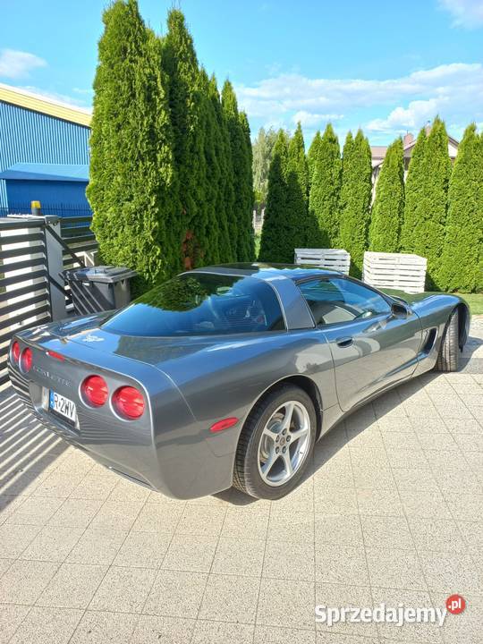 Chevrolet Corvette C5 Jarosław