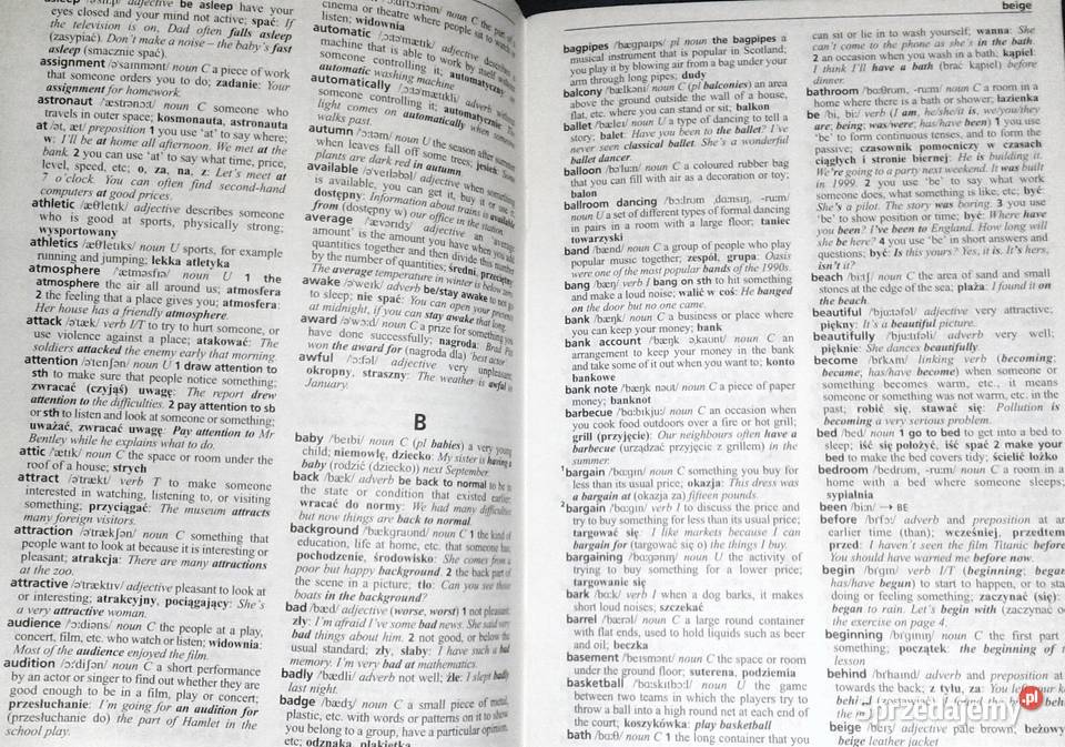 Opportunities PreIntermediate MiniDictionary Ch Chełm sprzedam