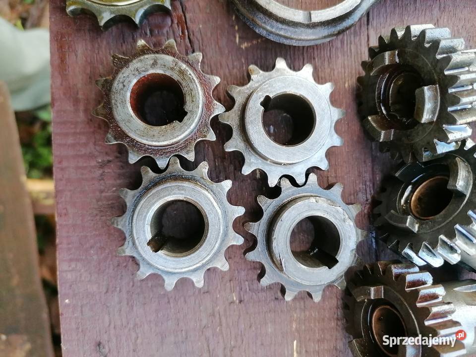 Zębatka sprzęgłowa na wał koło mała wsk wfm tryb