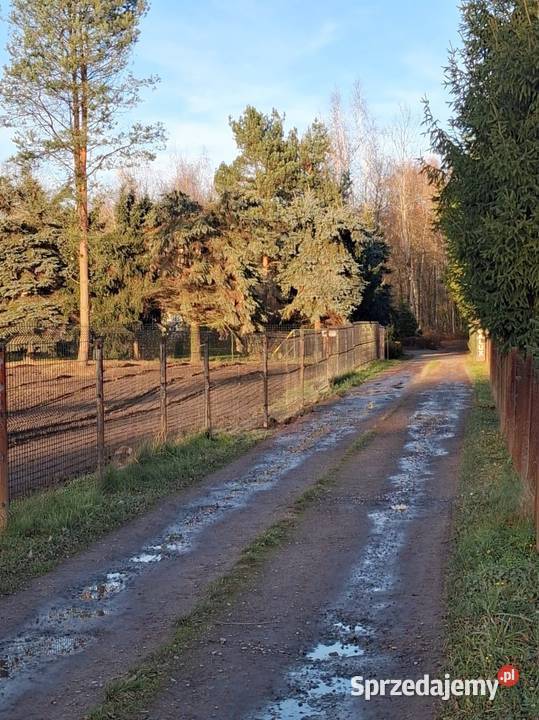 Super działki Żory Zachód Kradziejówka 265m Sprzedaż śląskie