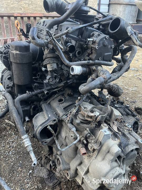 Silnik skrzynia biegów vw sharan 19 Brzana