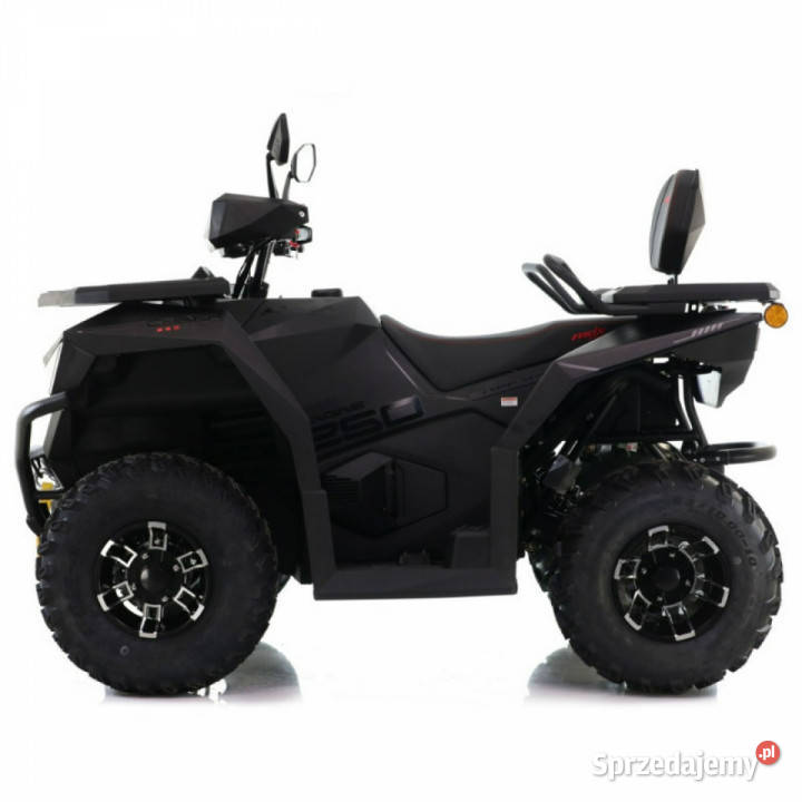 ASIX Inny Quad ASIX Cyber 250RR Transport Raty Bicz