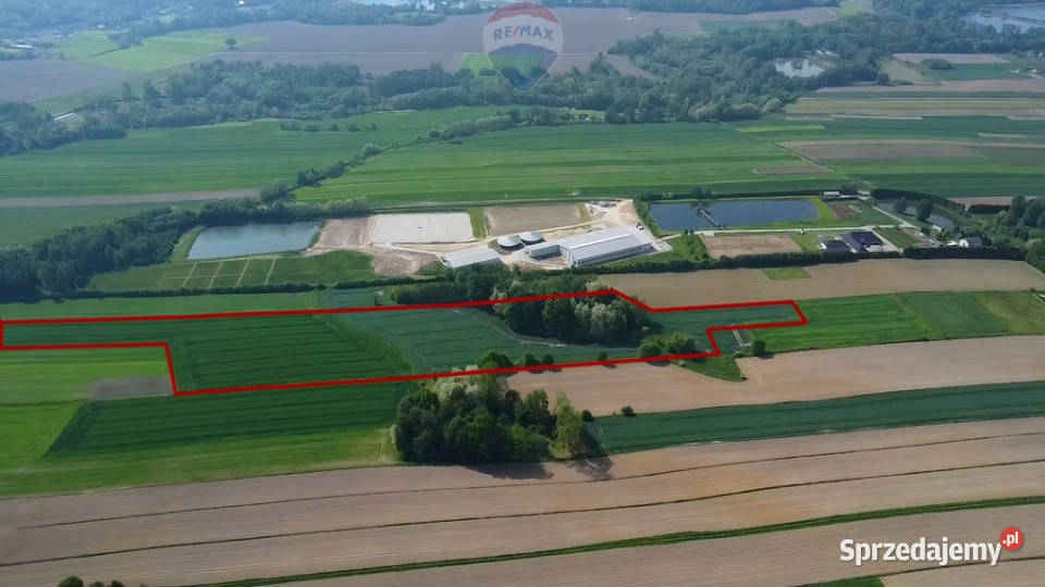 Działka z lasem i widokiem na góry 4 ha 580m Gierałtowice