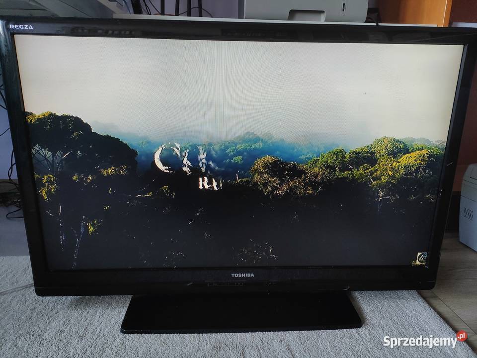 Telewizor Toshiba 42 cale Rypin