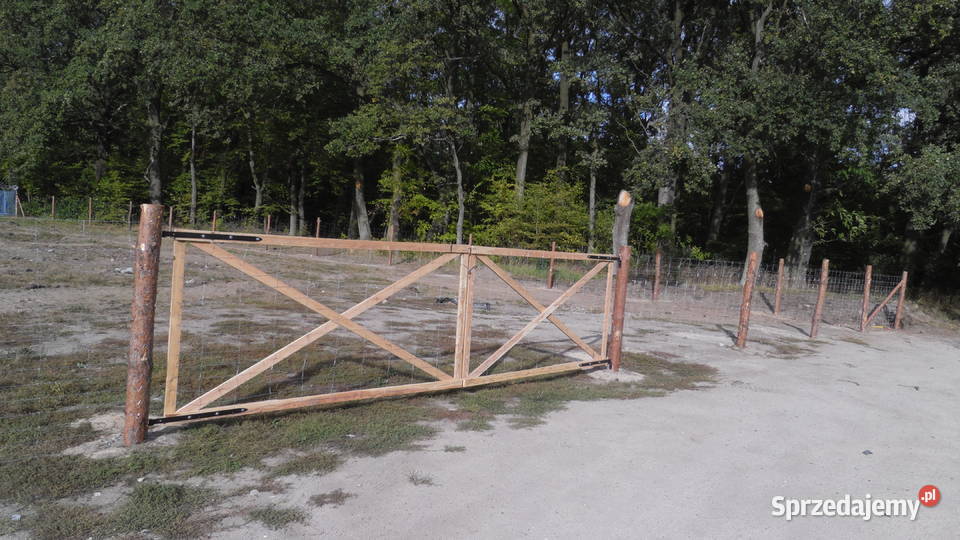 Komplet brama tymczasowa budowlana techniczna drewno