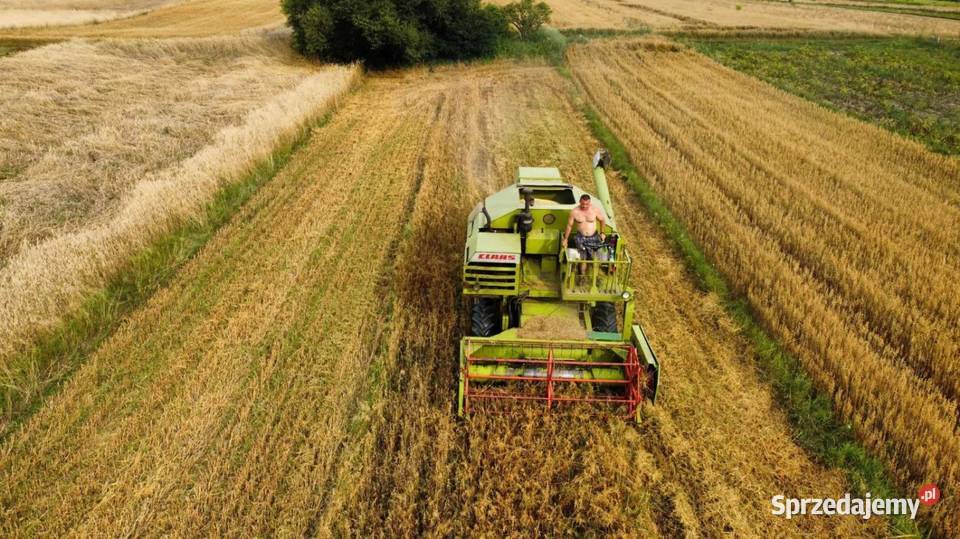 Claas consul Wolbrom