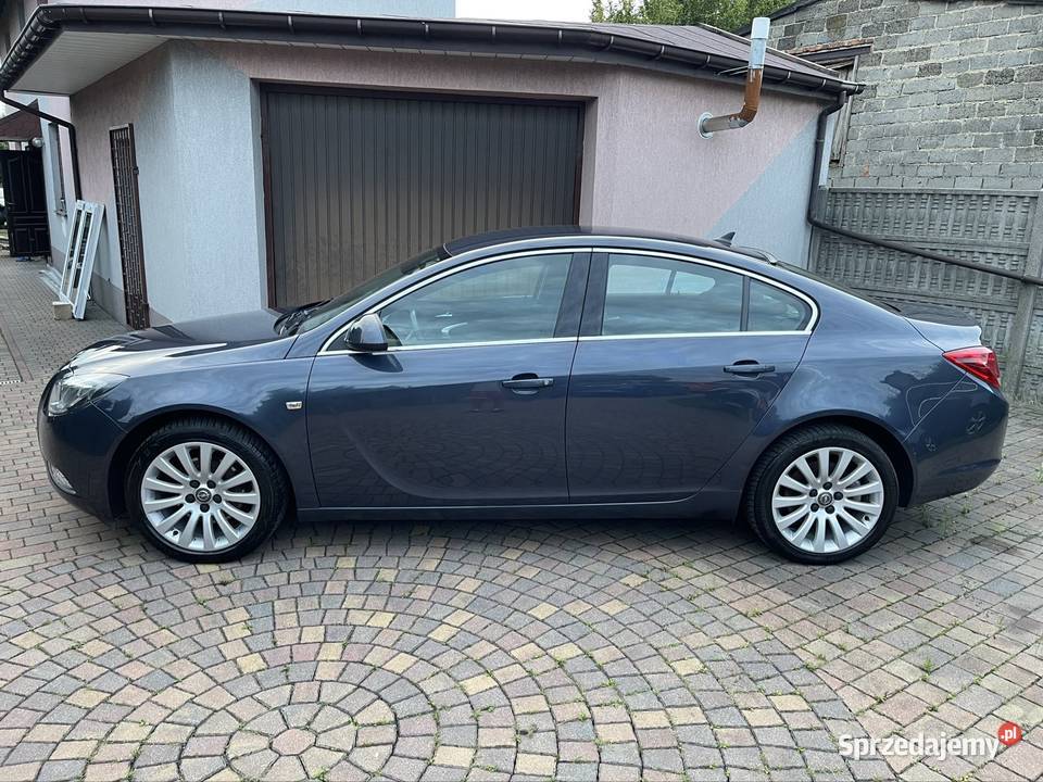 Opel Insignia 220 koni 6 bieg nawigacja Grzane szary