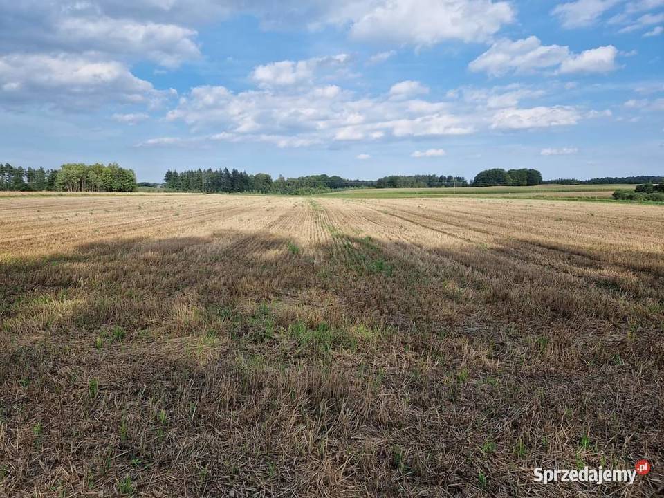 Działki rolne na Kaszubach ze względu na metraż Grunty i działki Niedamowo