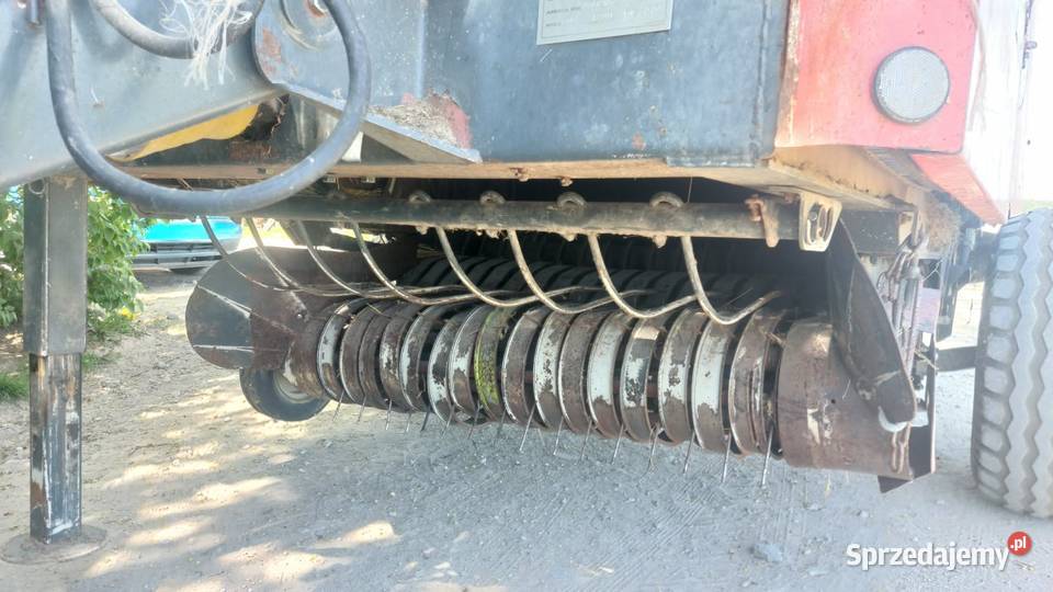 Prasa carraro