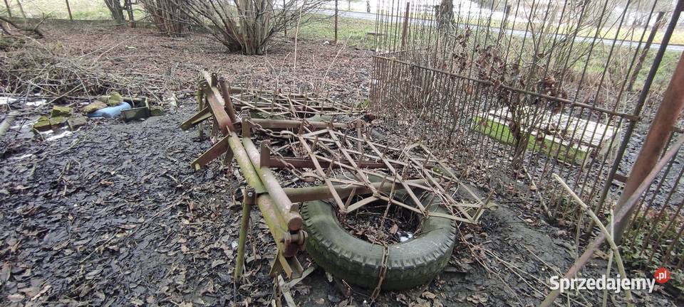 Brony śląskie Jankowice