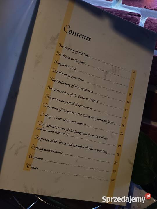 Luksusowy Album FOTO BISON ŻUBR 2003 EN Poradniki, albumy i reportaże