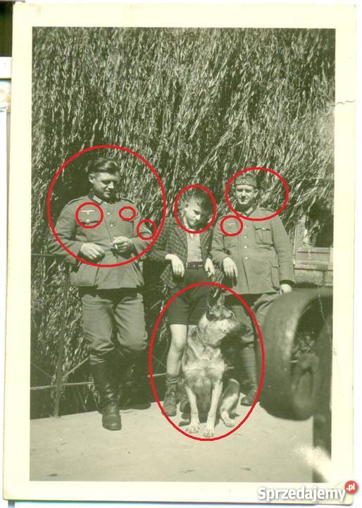 Stare zdjęcie żołnierz niemiecki grupowe 2 wojna Ostrów Wielkopolski