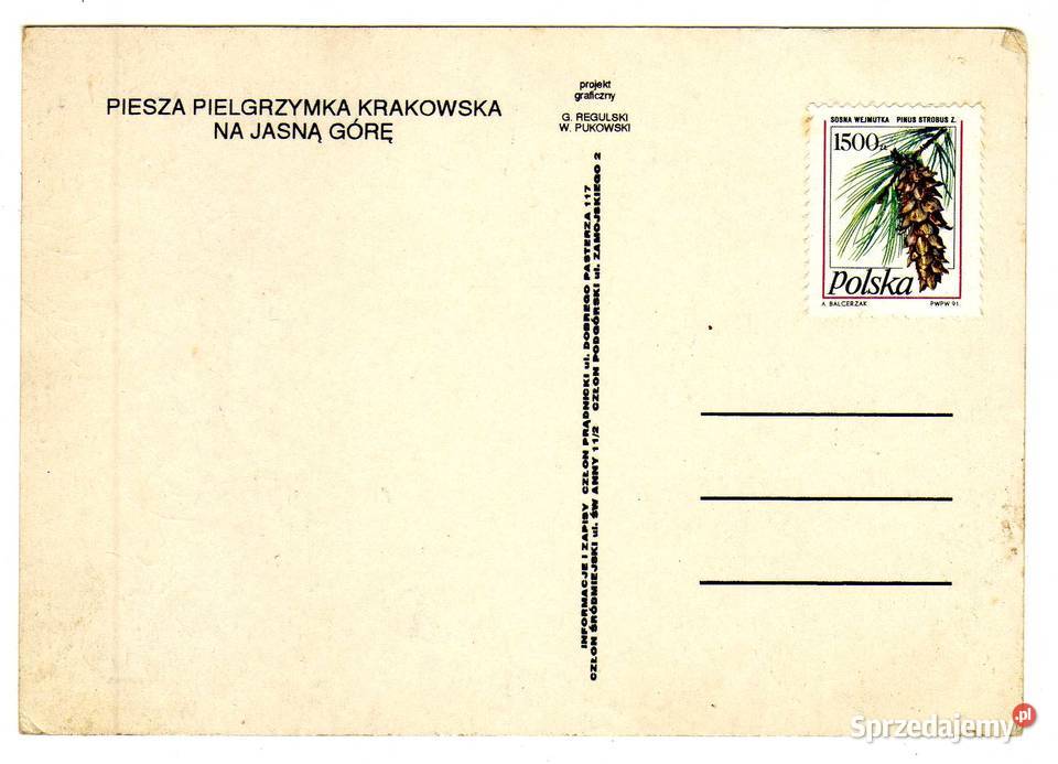 PIESZA PIELGRZYMKA KRAKOWSKA NA JASNĄ GÓRĘ świętokrzyskie Krynki