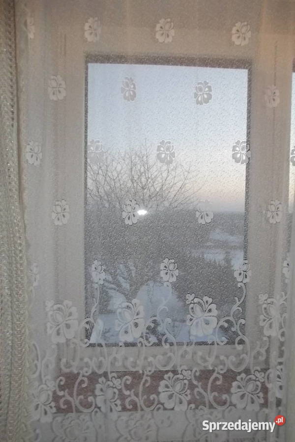Firanafirana biały żakard wys178 dł270 śląskie Piekary Śląskie