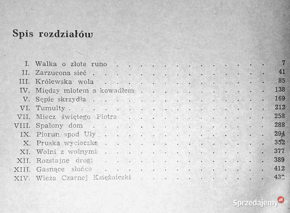Wieża czarnej księżniczki Janusz Teodor Dybowski Chełm
