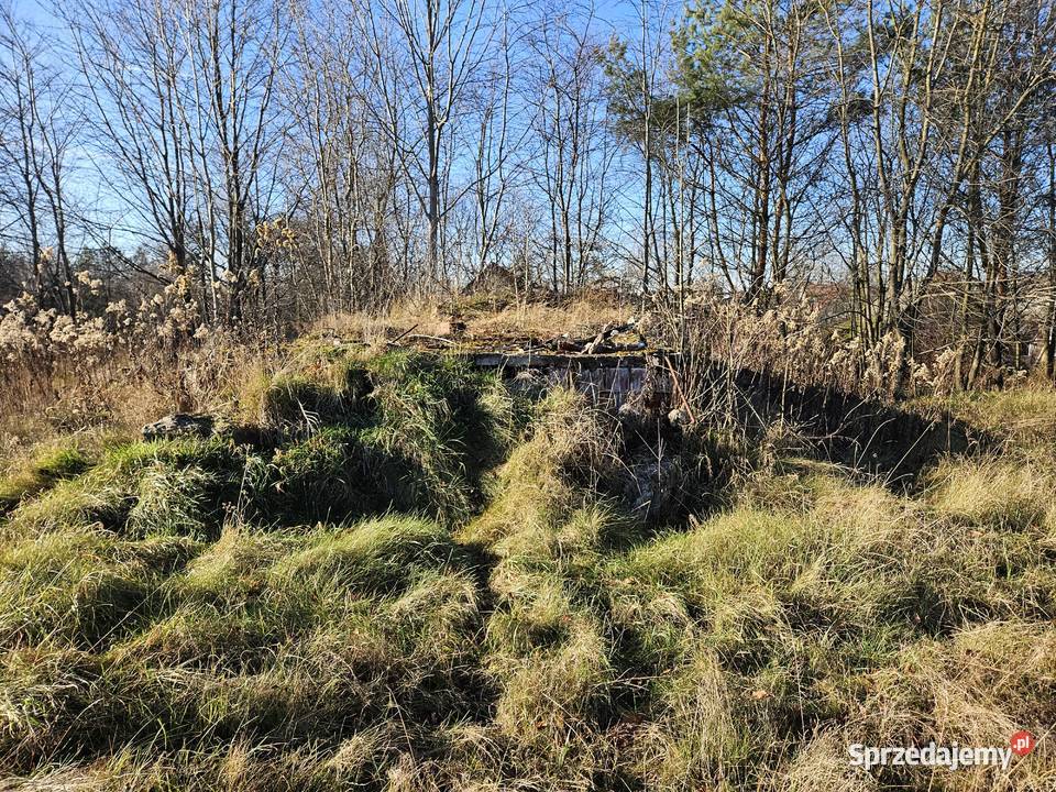 działka w otoczeniu zabudowy jednorodzinnej i Ostrowy Baranowskie