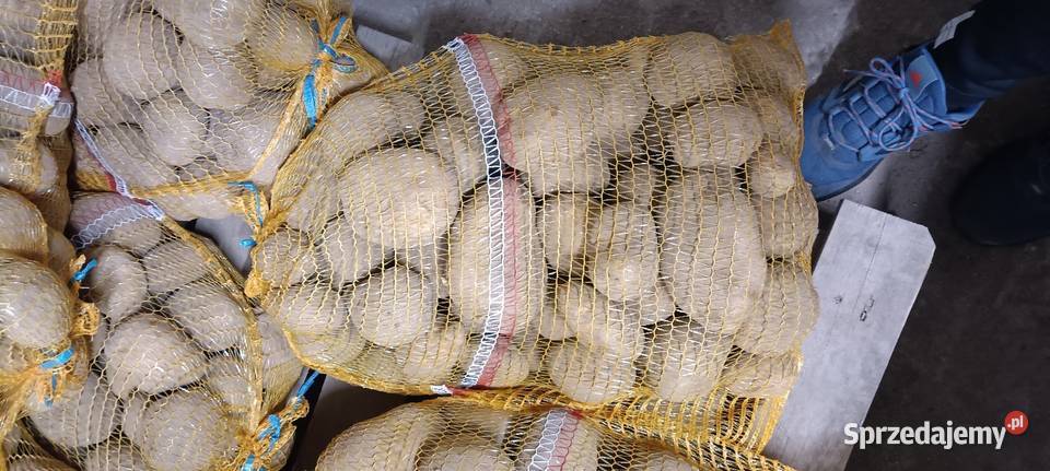 Ziemniaki Jurek Warzywa Zygry