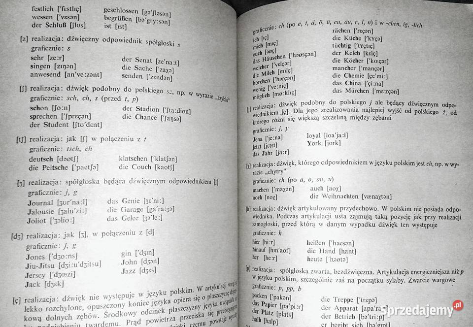 Polnische studenten lernen deutsch Grundstufe lubelskie Chełm