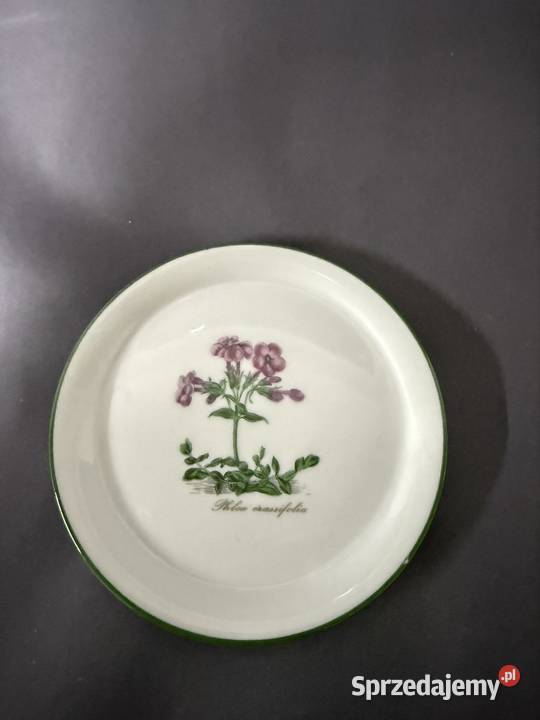 Talerzyki botaniczne lubuskie Gorzów Wielkopolski