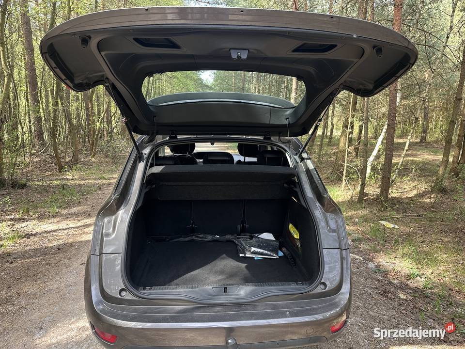 Citroen C4 Picasso Radomsko